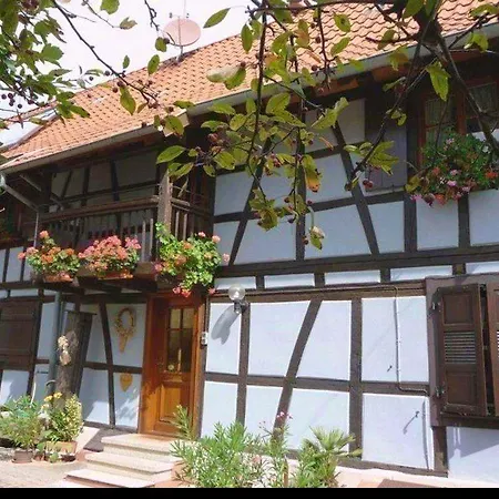 Maison Accueillante Dans Avec Terrasse. בית נופש Wingersheim-les-Quatre-Bans