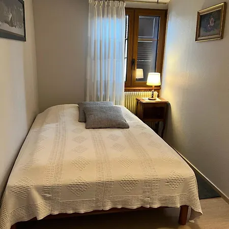 Maison Accueillante Dans Avec Terrasse. * Wingersheim-les-Quatre-Bans