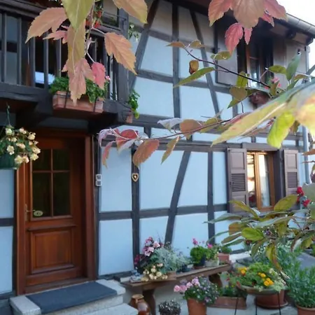 Maison Accueillante Dans Avec Terrasse. Wingersheim-les-Quatre-Bans