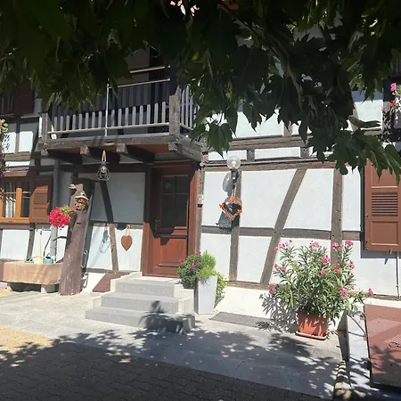 Maison Accueillante Dans Avec Terrasse. * Wingersheim-les-Quatre-Bans